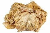 Butterscotch Selenite Crystals - Mt Gunson, Australia #239501-1
